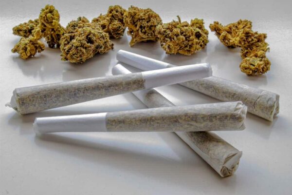 How to Choose the Best Delta 8 Pre-Rolled Joints