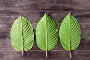 White Maeng Da Kratom: A Complete Guide to Its Benefits and Uses