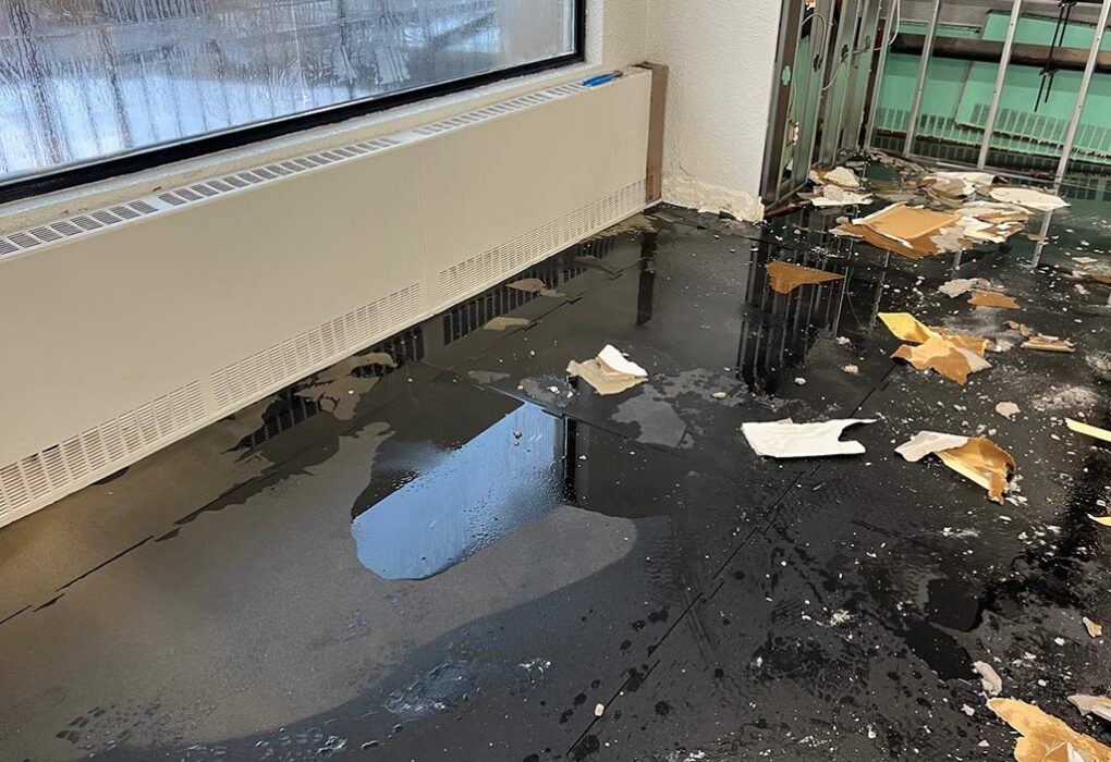 water damage restoration specialist