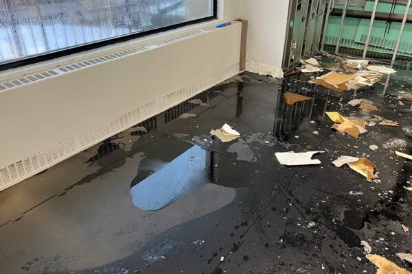 water damage restoration specialist